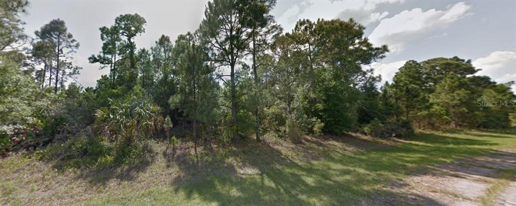 A wooded, undeveloped lot with tall pine trees and native Florida vegetation — MARLBERRY ROAD, NORTH PORT, FL