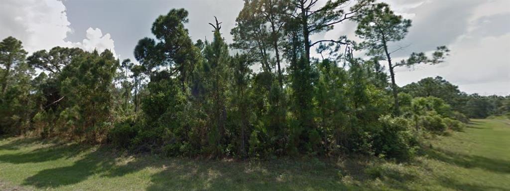 A wooded, undeveloped lot with pine trees and low-lying vegetation under a cloudy sky — MARLBERRY ROAD, NORTH PORT, FL