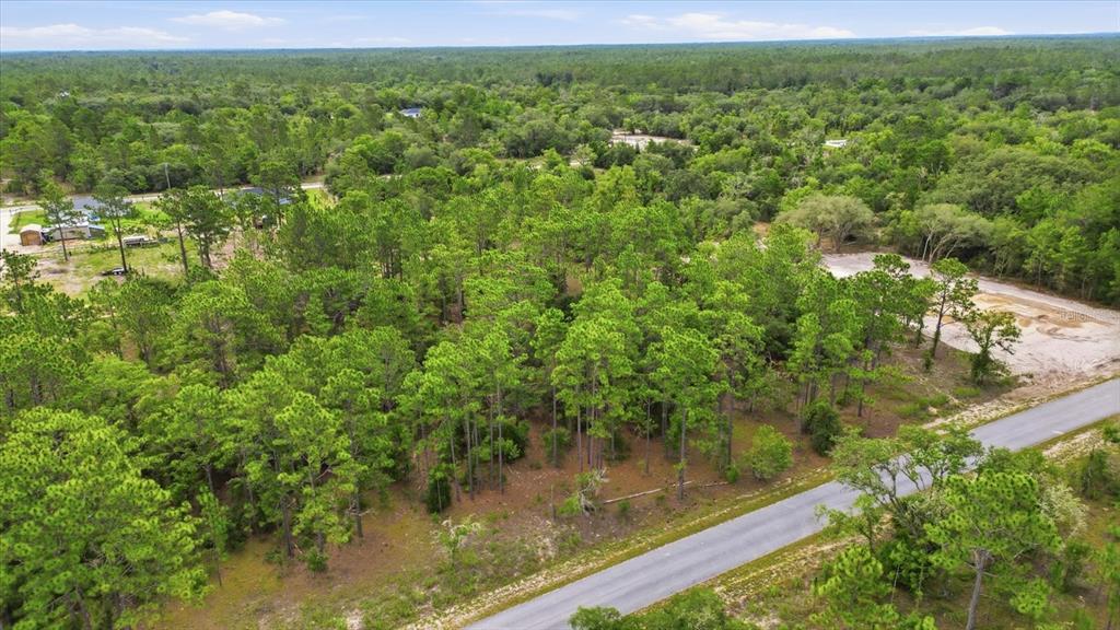 An aerial view shows a wooded lot adjacent to a paved road — 0000 SW SANDS POINT AVE LOT 38, DUNNELLON, FL