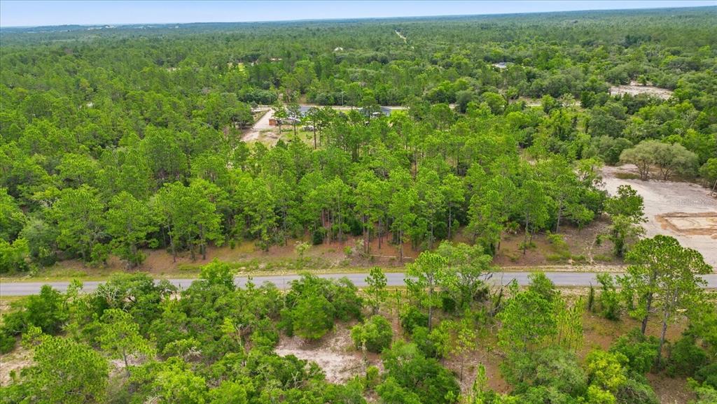 An aerial view shows a paved road running through a dense, wooded forest area — 0000 SW SANDS POINT AVE LOT 38, DUNNELLON, FL