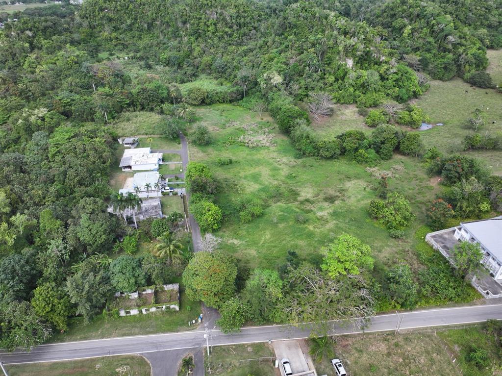 An aerial view shows a grassy lot bordered by trees, a road, and nearby houses — CARR 448, CAMUY, PR