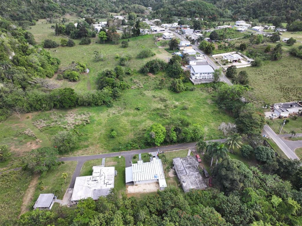 An aerial view shows a residential property with three buildings surrounded by trees and fields — CARR 448, CAMUY, PR
