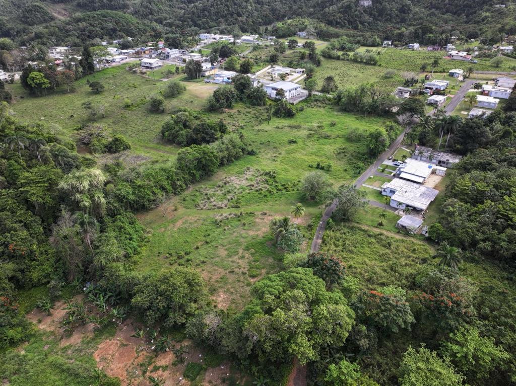 An aerial view shows a large, grassy lot surrounded by trees and nearby residential houses — CARR 448, CAMUY, PR