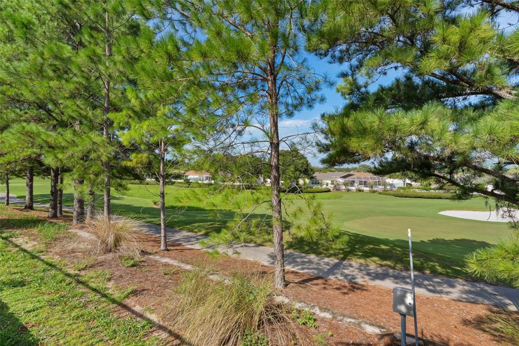 A view of a golf course fairway with pine trees and a concrete cart path — 16844 SE 91ST PHILLIPS COURT, THE VILLAGES, FL