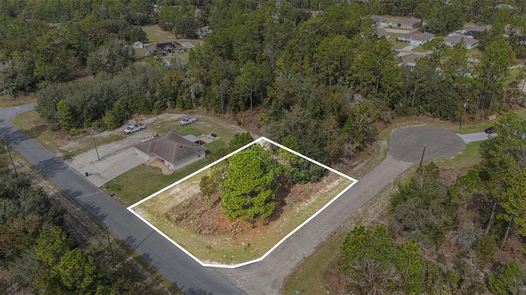 An aerial view shows a vacant, wooded residential lot outlined in white on a corner — 1541 W RILEY DRIVE, DUNNELLON, FL