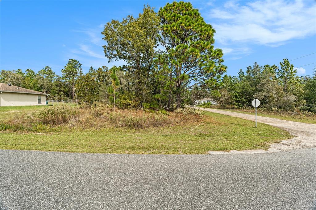 A view of a vacant, grassy lot with trees and a dirt road — 1541 W RILEY DRIVE, DUNNELLON, FL