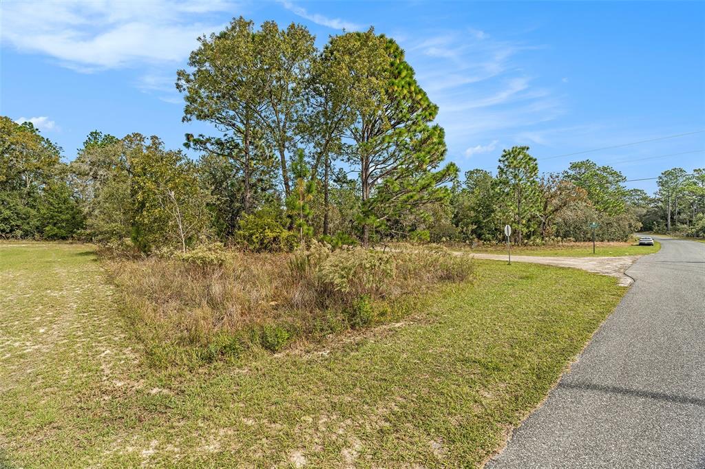 A vacant, grassy lot with trees and brush sits next to a paved road — 1541 W RILEY DRIVE, DUNNELLON, FL