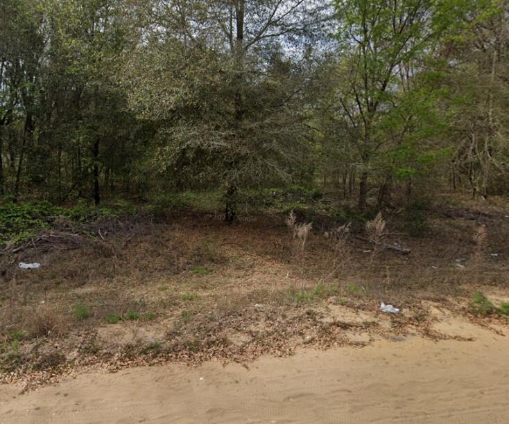 A wooded, undeveloped lot with sandy ground and scattered debris in a forest setting — 0 N Helmers Avenue, FL 32148, FL