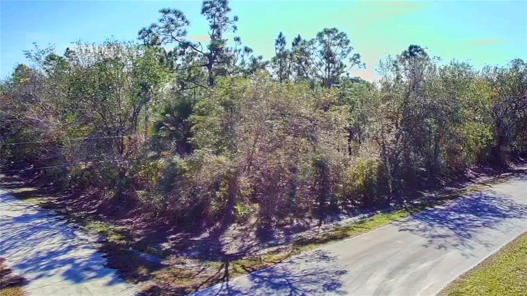 27283 TREADMILL DRIVE, PUNTA GORDA, FL — photo 4 of 13