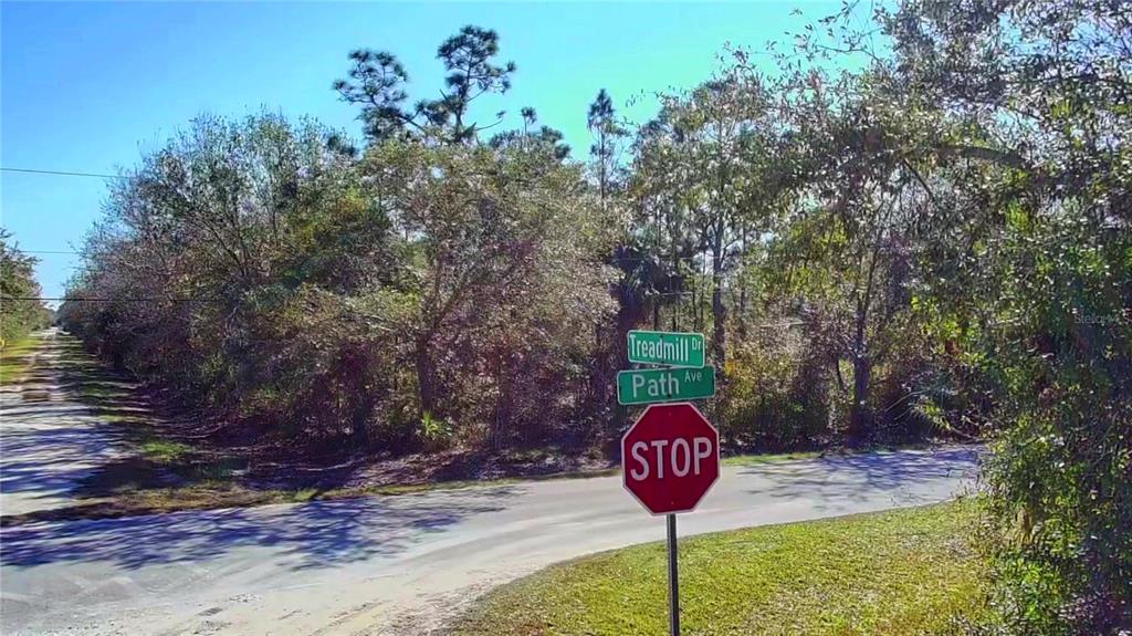 27283 TREADMILL DRIVE, PUNTA GORDA, FL — photo 5 of 13