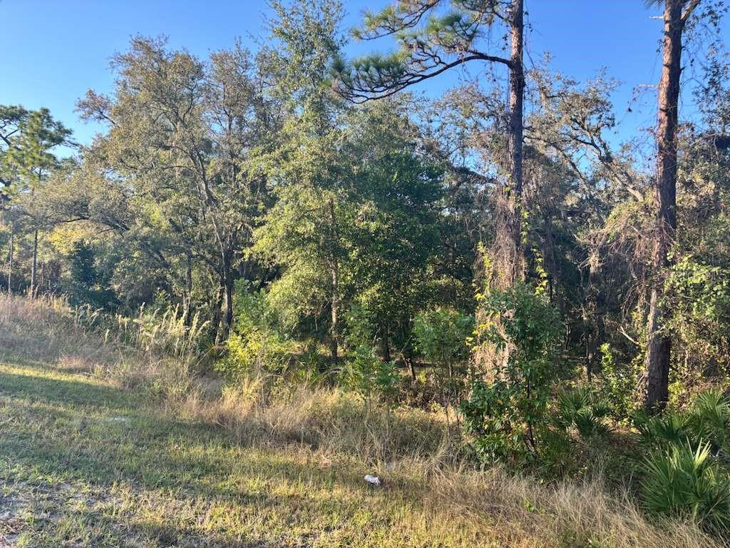 33193 EASTER DRIVE, WEBSTER, FL — photo 2 of 6