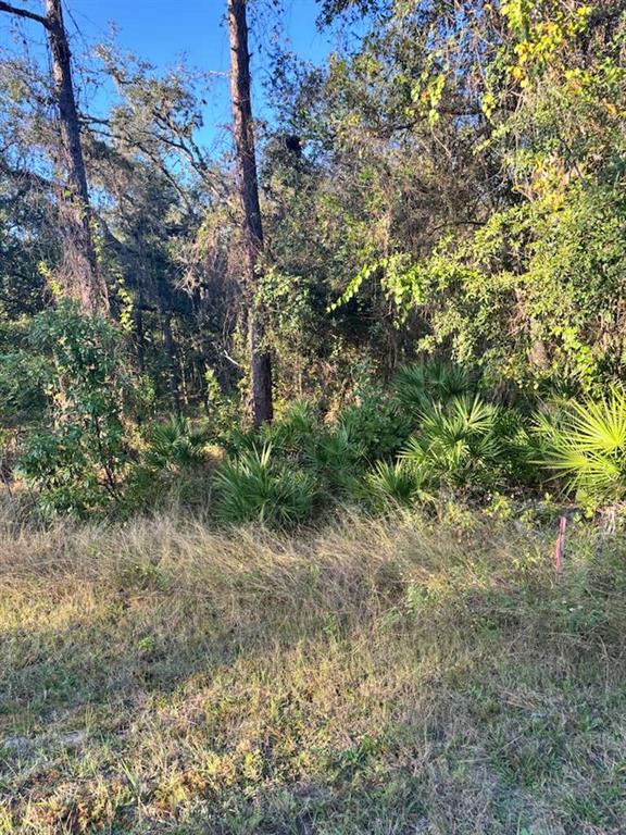 33193 EASTER DRIVE, WEBSTER, FL — photo 3 of 6