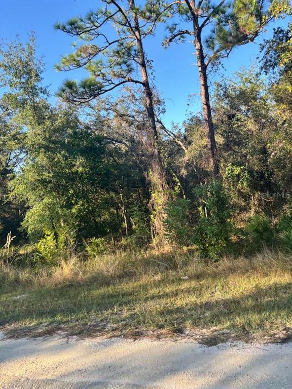 33193 EASTER DRIVE, WEBSTER, FL — photo 4 of 6