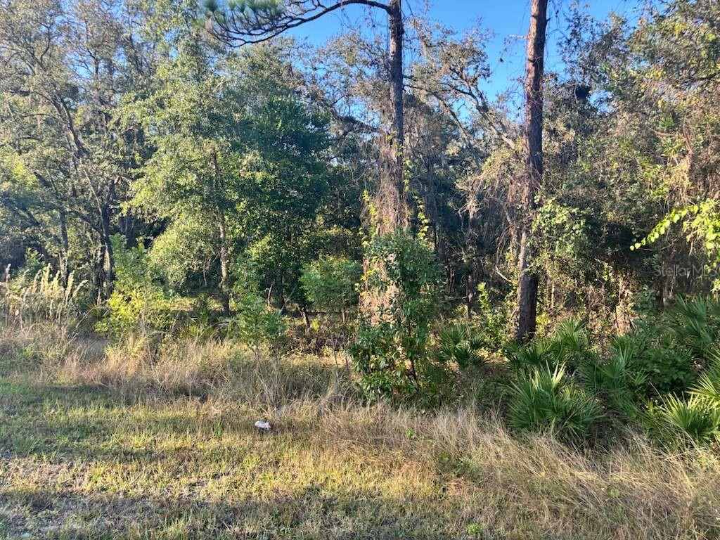 33193 EASTER DRIVE, WEBSTER, FL — photo 5 of 6