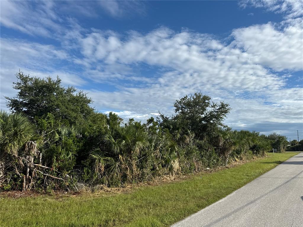 A vacant, overgrown lot with dense trees and shrubs sits beside a paved road — 14242 MONTMARTE AVENUE, PORT CHARLOTTE, FL
