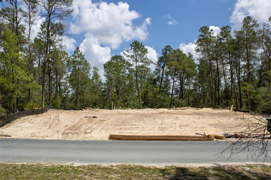 A cleared, sandy residential lot sits behind a paved road with a forest background — 6163 N CANYON DRIVE, BEVERLY HILLS, FL