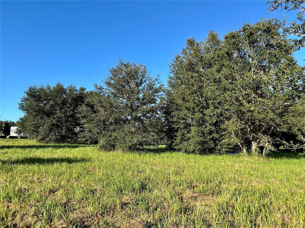 S 1ST AVENUE, WAUCHULA, FL — photo 2 of 25
