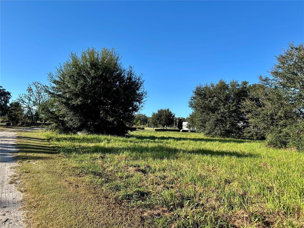 S 1ST AVENUE, WAUCHULA, FL — photo 3 of 25