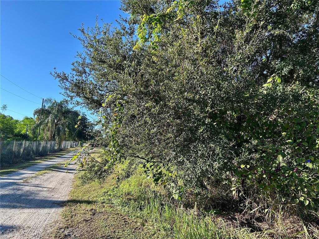 S 1ST AVENUE, WAUCHULA, FL — photo 4 of 25