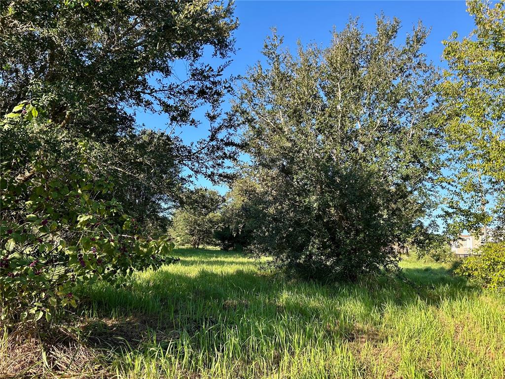 S 1ST AVENUE, WAUCHULA, FL — photo 5 of 25