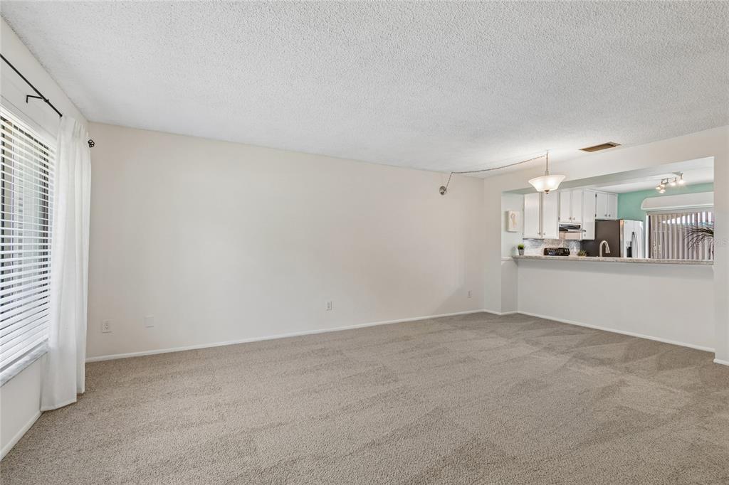 A carpeted living room features a large window, a ceiling light, and a kitchen pass-through — 7803 AMBERLEA COURT, TEMPLE TERRACE, FL