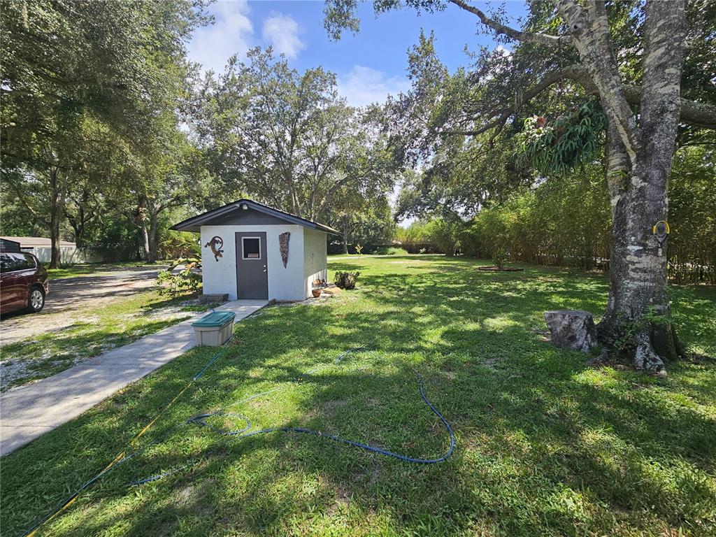 A small white shed sits in a grassy yard shaded by large trees — 16109 INDIAN MOUND ROAD, TAMPA, FL