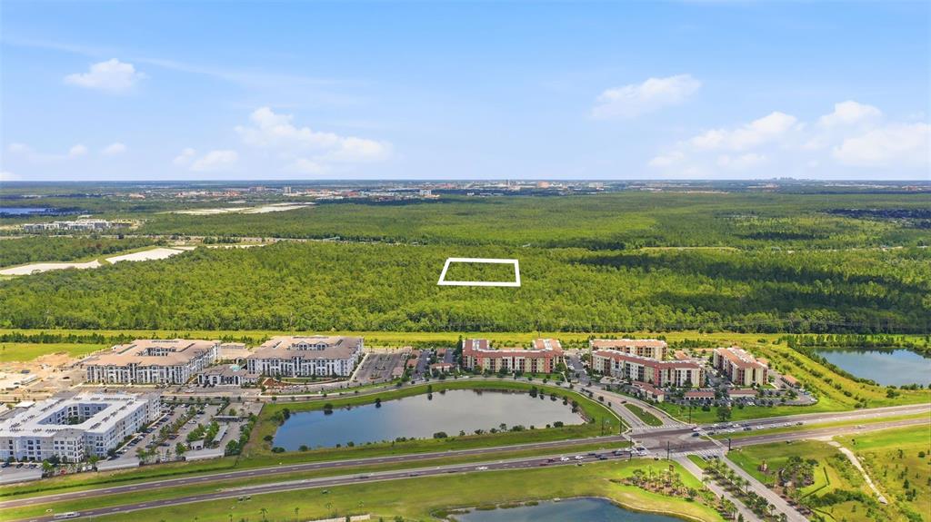 An aerial view shows a large, undeveloped wooded area with a white rectangle marking a plot — S APOPKA VINELAND ROAD, ORLANDO, FL