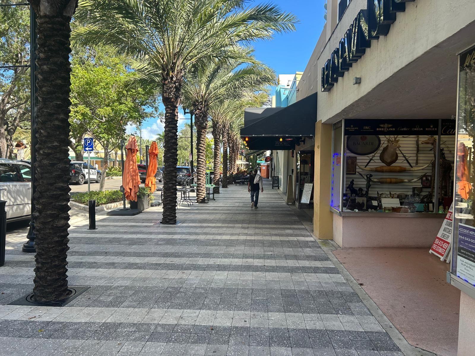 A pedestrian sidewalk lined with palm trees runs alongside a row of storefronts — 1914 Hollywood Boulevard, Hollywood FL 33020, HOLLYWOOD, FL