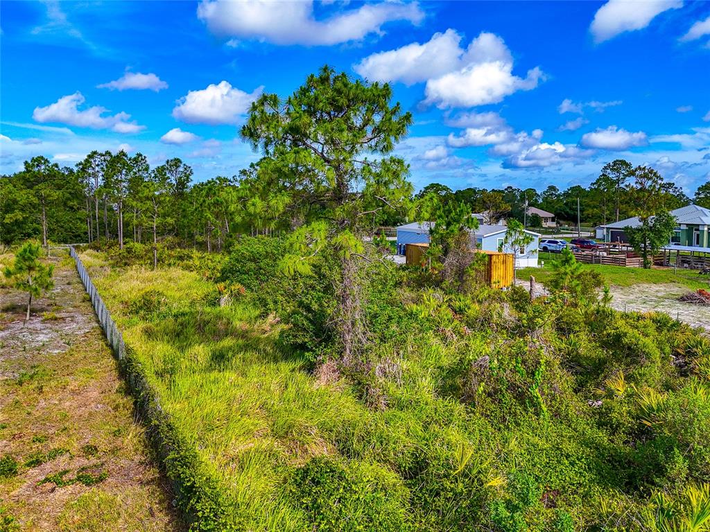 A grassy, overgrown lot features a tall pine tree and a nearby residential property — 8228 AUSTRIAN BOULEVARD, PUNTA GORDA, FL