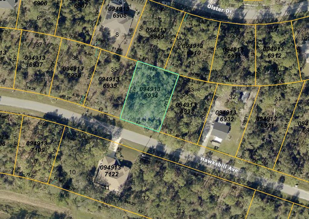 This is a satellite map showing a highlighted vacant residential lot among surrounding wooded properties — HAWKSBILL AVENUE, NORTH PORT, FL