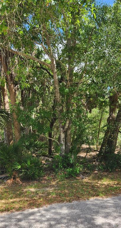 A wooded lot with dense trees and palmettos bordering a paved road — 23190 GLEN AVENUE, PUNTA GORDA, FL