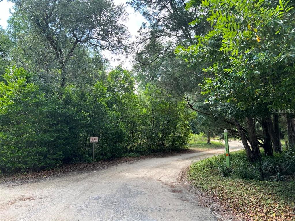 A dirt road curves through a wooded area with a private road sign visible — 10013 N HOLYOAK TERRACE, DUNNELLON, FL