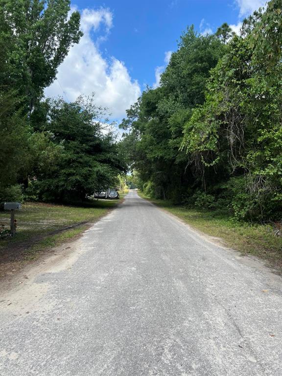 A gravel road stretches forward, flanked by dense green trees under a blue sky — 10013 N HOLYOAK TERRACE, DUNNELLON, FL