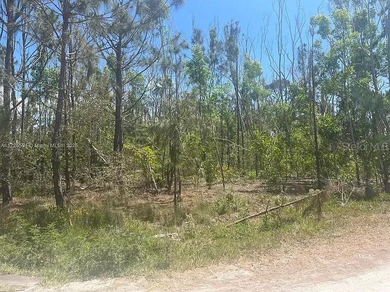 7231 SUNDIET BOULEVARD, BOKEELIA, FL — photo 2 of 7