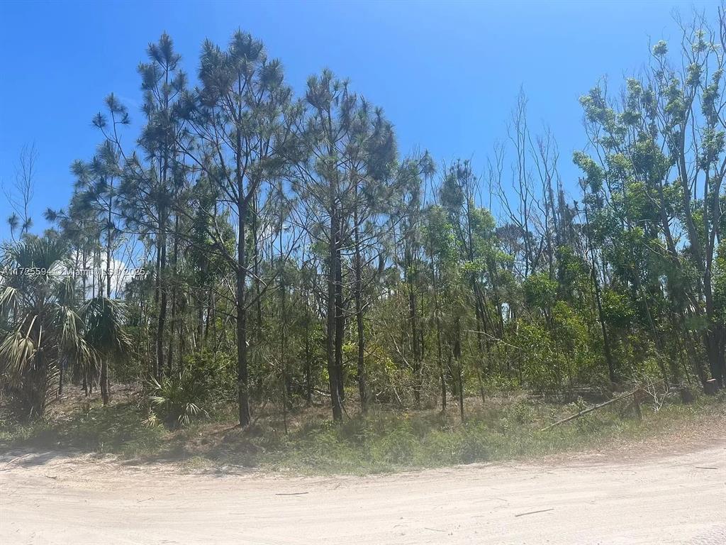 7231 SUNDIET BOULEVARD, BOKEELIA, FL — photo 3 of 7