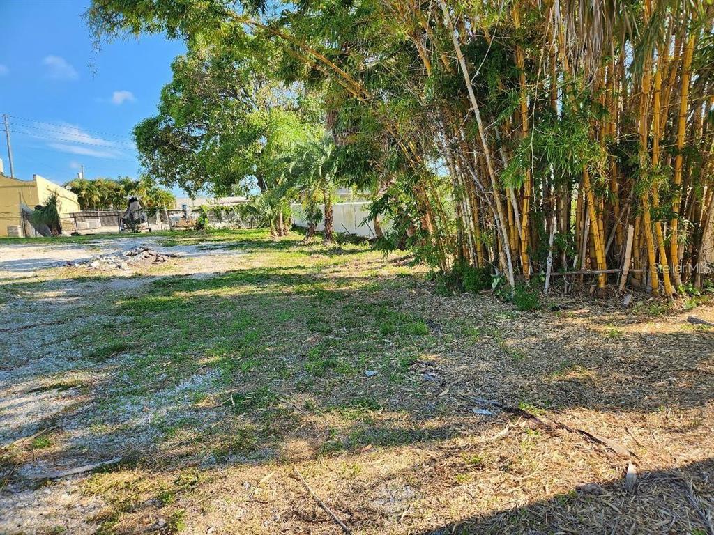 A vacant lot features patches of grass, dirt, and a dense cluster of tall bamboo — 1100 S MYRTLE AVENUE, CLEARWATER, FL