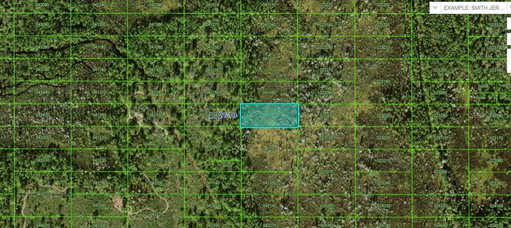 This is a map showing a highlighted rectangular land parcel overlaid on a forested area — OLD GRADE RD, POLK CITY, FL