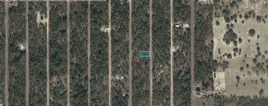 An aerial view shows a rectangular plot of land highlighted in blue within a wooded area — 06877-028-00 SE 135TH COURT, DUNNELLON, FL