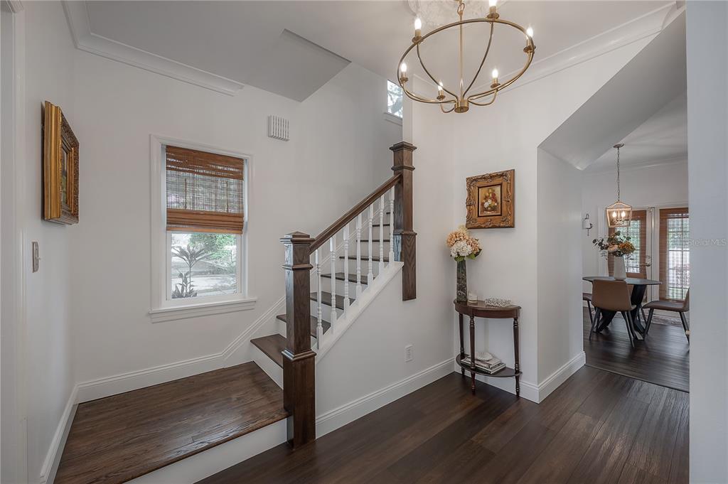 A foyer features a wooden staircase, dark hardwood floors, a chandelier, and a dining area — 502 E AMELIA AVENUE, TAMPA, FL