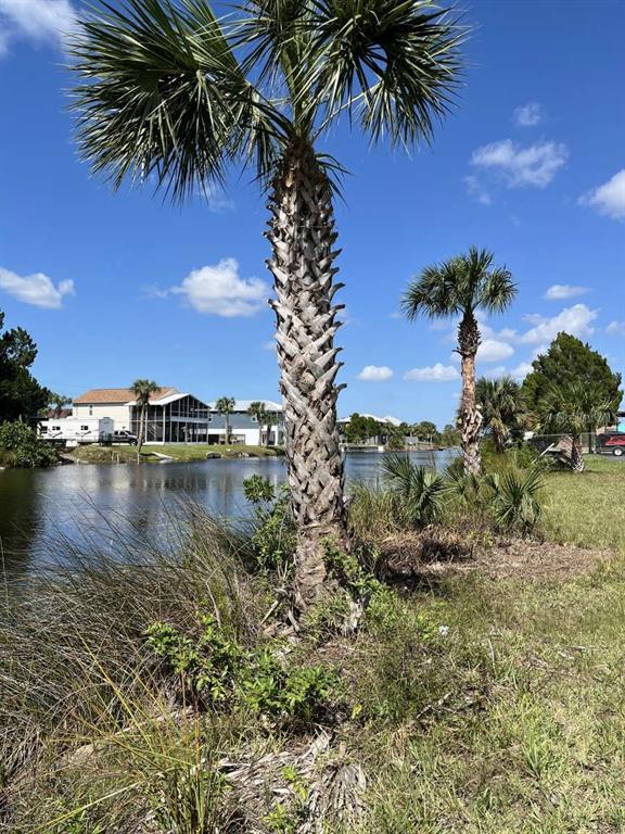 A tall palm tree stands in the foreground beside a canal with houses in the background — 3341 SHOAL LINE BOULEVARD, HERNANDO BEACH, FL