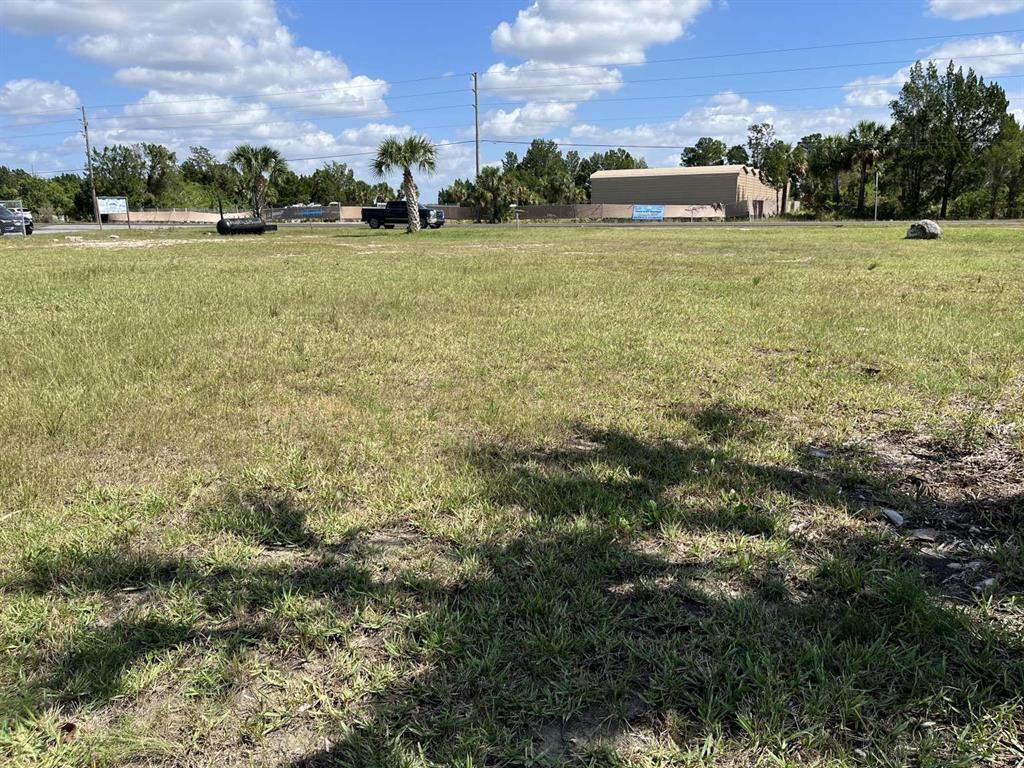 A wide, grassy vacant lot features a few palm trees and a distant commercial building — 3341 SHOAL LINE BOULEVARD, HERNANDO BEACH, FL