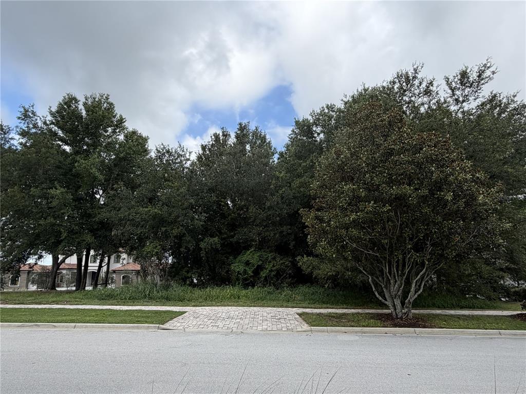 An elevated view shows a vacant, tree-covered residential lot situated next to a lake — 15345 PENDIO DRIVE, BELLA COLLINA, FL