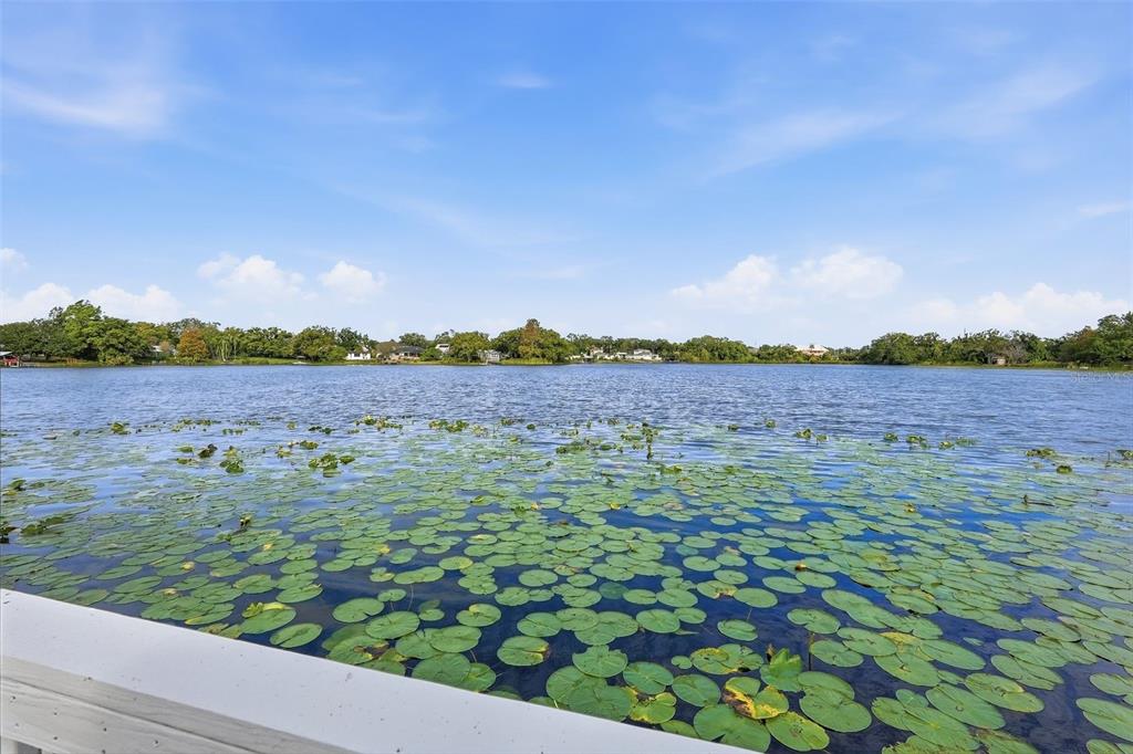 A view of a lake covered in lily pads from a white wooden deck — 2814 W HUMPHREY STREET, TAMPA, FL