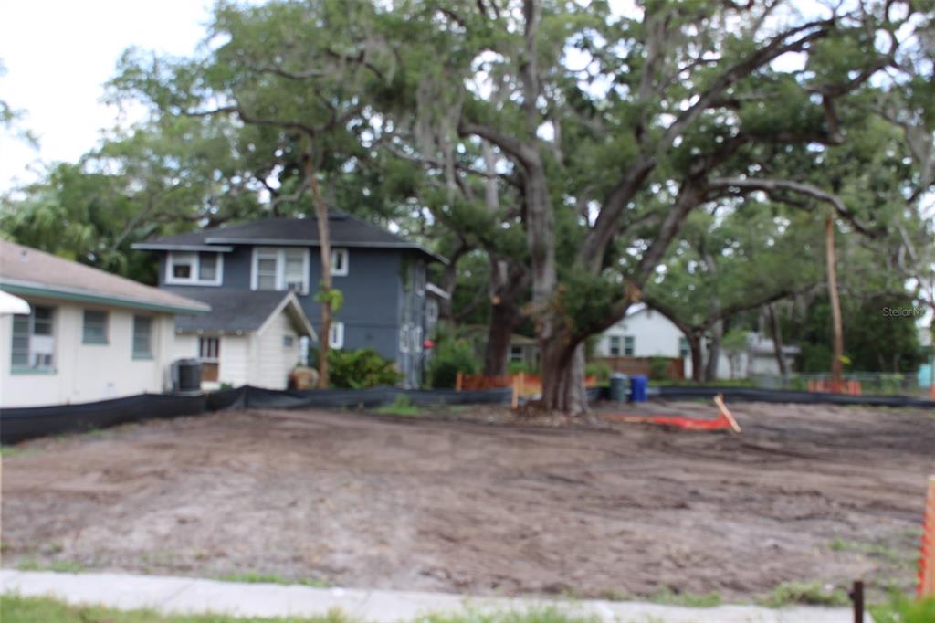 A single-story house with white stucco walls, a green trim, and a palm tree exterior — 300 PRESIDENT STREET, DUNEDIN, FL
