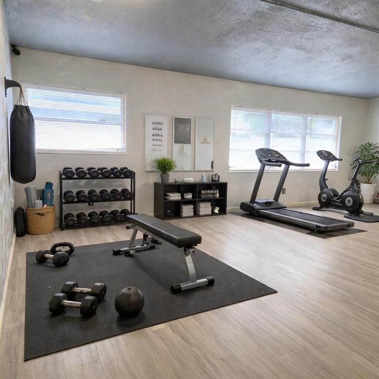 A home gym features a weight rack, exercise bench, treadmill, stationary bike, and punching bag — 101 EMILY LANE, BRANDON, FL