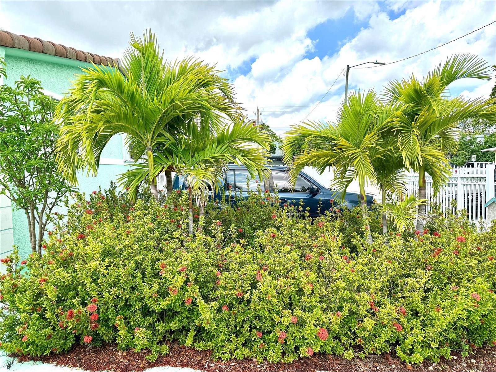 A blue car is parked behind a large hedge and two palm trees — 430 NE 75th Street, Miami FL 33138, MIAMI, FL