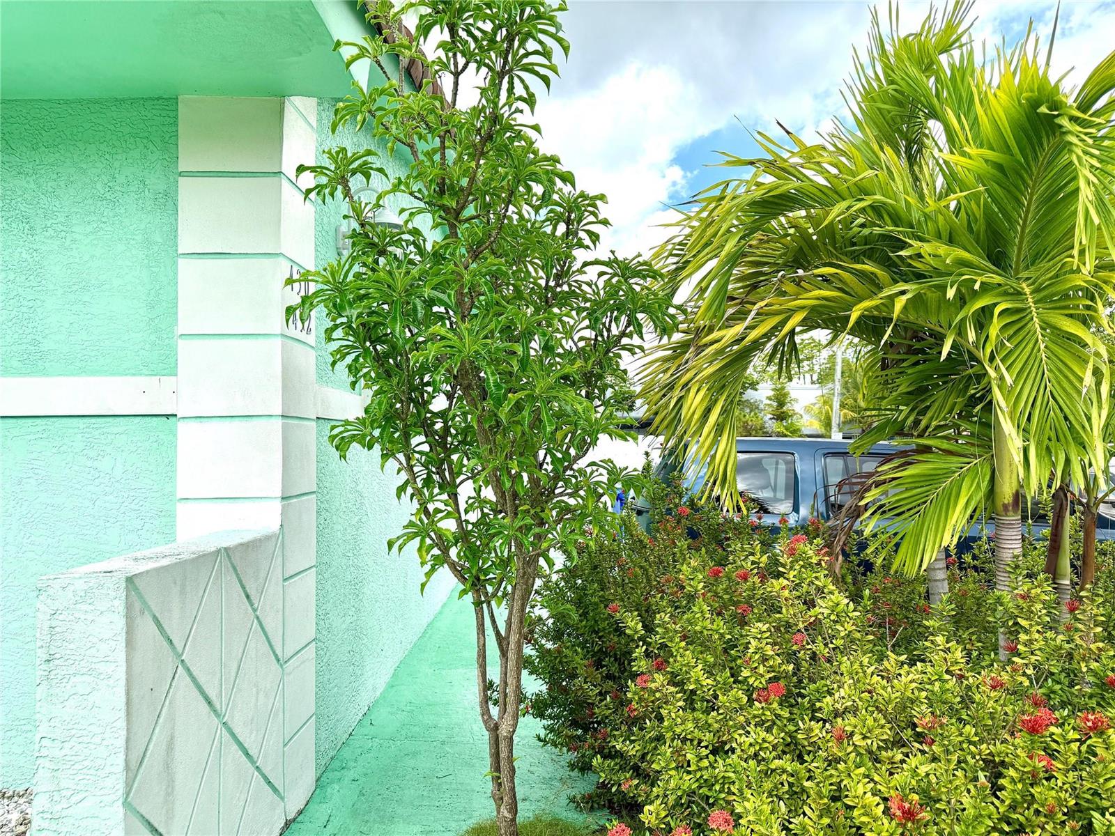 A mint green exterior wall stands next to a small tree and a palm tree — 430 NE 75th Street, Miami FL 33138, MIAMI, FL