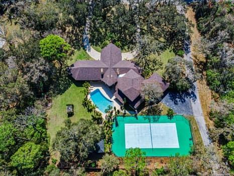 2390 KENT PLACE, CLEARWATER, FL — photo 5 of 30