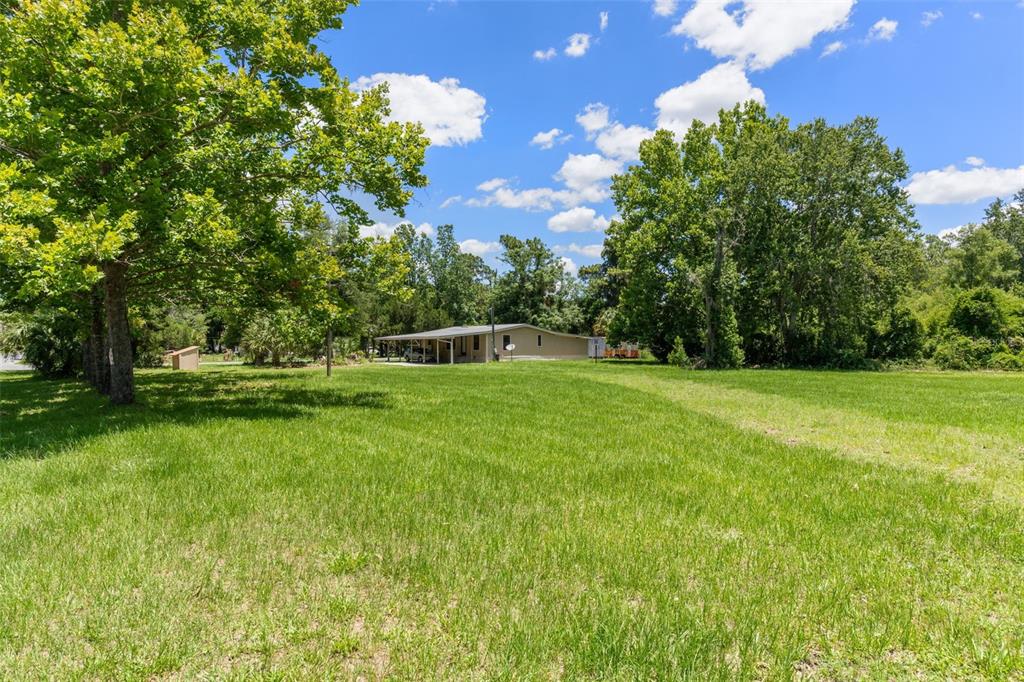 A single-story house with a carport sits in a large, grassy, tree-lined yard — 3909 S CEDAR TERRACE, HOMOSASSA, FL