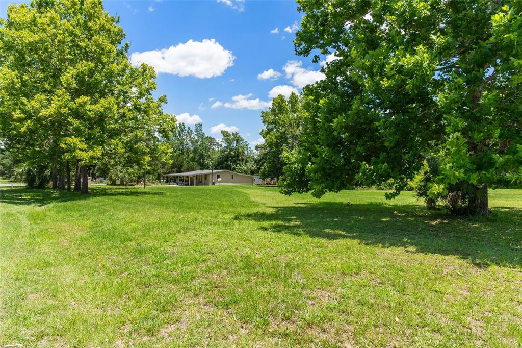 A grassy yard with mature trees leads to a single-story house with a carport — 3909 S CEDAR TERRACE, HOMOSASSA, FL